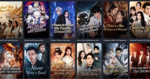 NetShort on ShortFlix: A beginner guide to short dramas