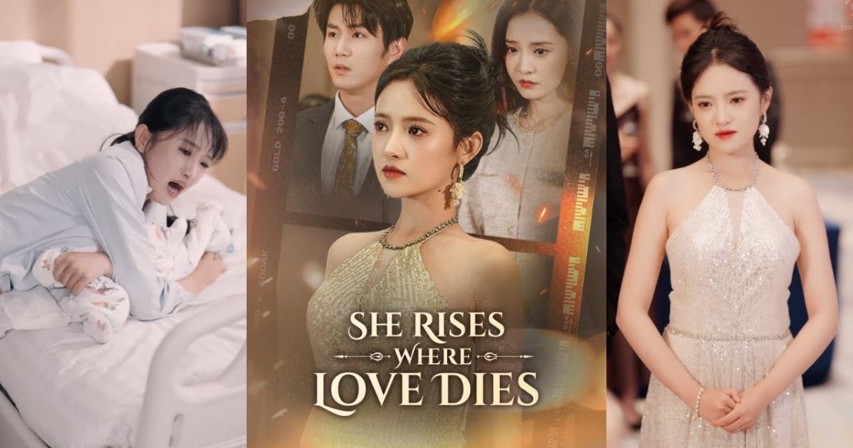 Top 6 best fall family movies on ShortFlix for cozy nights 3 She Rises Where Love Dies